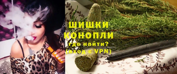 spice Абаза