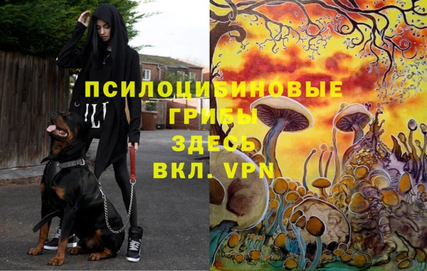 синтетический гашиш Абдулино