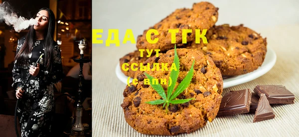 индика Алексин