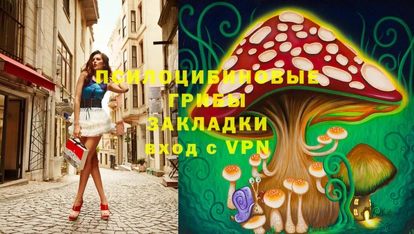 индика Алексин