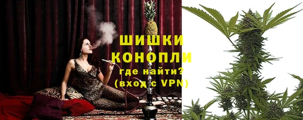 spice Абаза