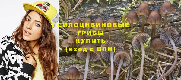 индика Алексин