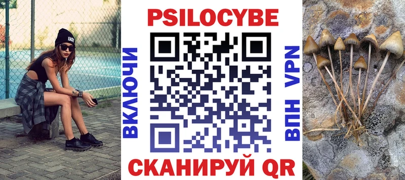 Галлюциногенные грибы MAGIC MUSHROOMS  наркота  Удомля 